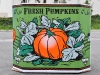 bulk-bin-triple-wall-pumpkin-bin-46x38x36-exterior